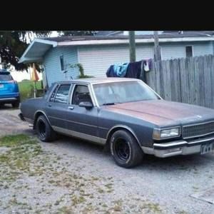 Meet your Posher, Donald